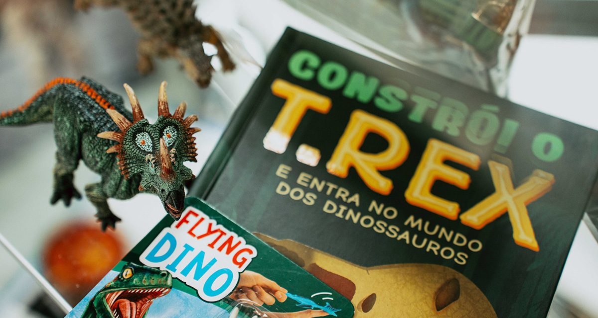 tantos-livros-livreiros-marcas-dream-toys